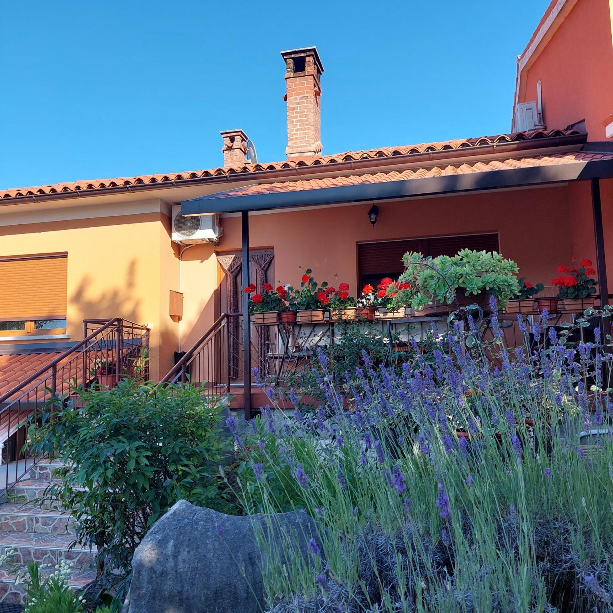 Apartman Branka Labin  Εξωτερικό φωτογραφία
